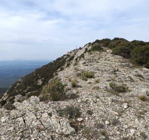 Le gros Bessillon depuis le monastère de St Joseph - Mireille - 3