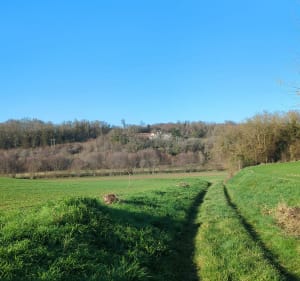 L'Homme de l'Epine depuis Puybaronneau - Cellefrouin - 2