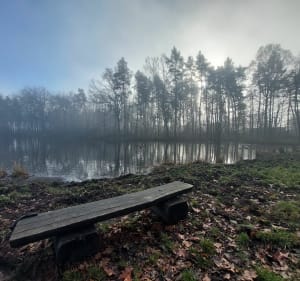 Wężowy staw - Wola Batorska - 2