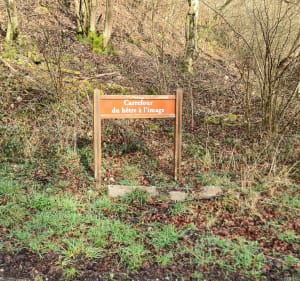 Randonnée à Moulineaux par Bois Hérangère - Moulineaux - 2