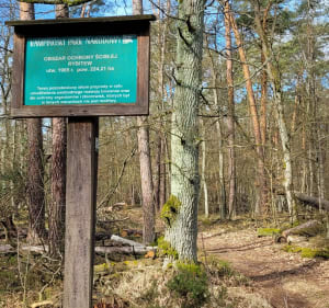 Po rezerwatach północnej części Puszczy Kampinoskiej - Stanisławów - 2