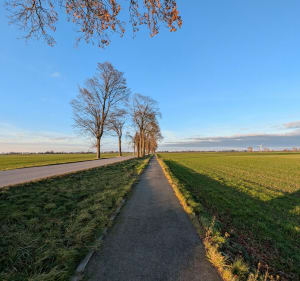 Żuławska Pętelka - Nowy Staw>Miłoradz>Malbork - Wlazło - 4