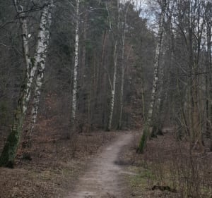 Ze Strzyży przez Dolinę Samoborowo i Niedzwiednik - Gdańsk - 2