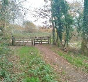 Landouge et le sentier des 3 ruisseaux - Limoges - 2