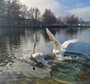 Park Lotników - Kraków - 3