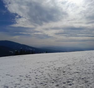 Rysianka - Żabnica - 2