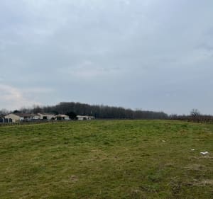 Bossuet commune de Saint Denis De Pile - Saint-Denis-de-Pile - 2