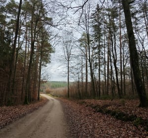 Niedzielny spacer - Staszkowo - 2