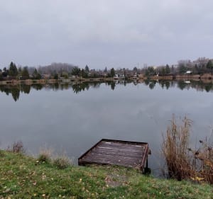 Staw wojskowy przy Skałce - Świętochłowice - 2