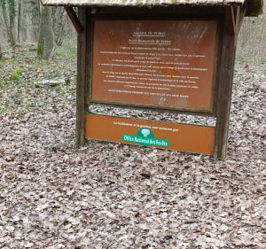 Forêt Anet et la Robertière - Abondant - 2
