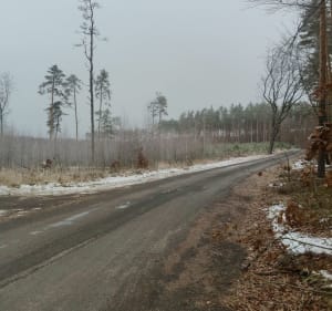 Carpatia - najwyższy szczyt powiatu mieleckiego - Szydłowiec - 2