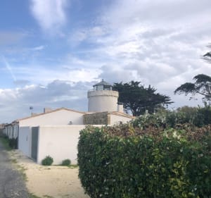 Ars-en-Ré entre les marais, le Martray et les 3 moulins - Sylvie - 3