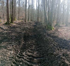 Balade ensoleillée en VTT en forêt de Gravigny Huest - Gravigny - 2