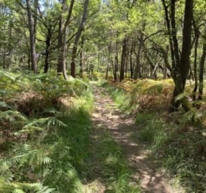 Sortie VTT autour de Coursac - SEBASTIEN - 4