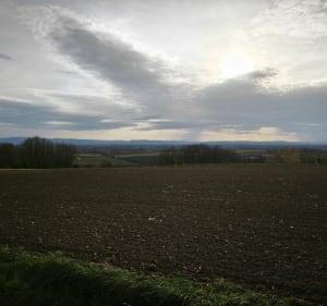 Boucle entre Gimbrett et Gougenheim - Chris - 4