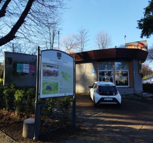 Park Sybiraków w Wałbrzychu - Wałbrzych - 2