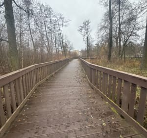 Relaksacyjny spacer - Łukasz - 2
