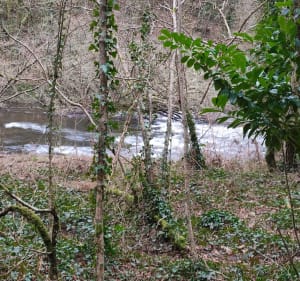 L'eau et la verdure à Kerfoucher - Tréméven - 2