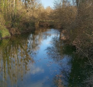 Randonnée le long du Rhône - Brangues - 2