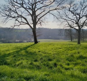 Randonnée en proximité de Beaulieu sur Sonnette, par Mouchedune - Cellefrouin - 2