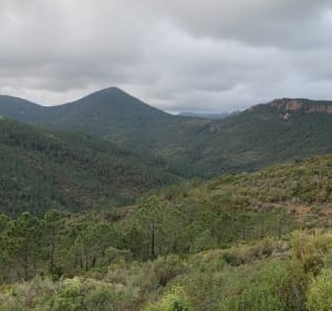 Théoule, Pointe de l’aiguille et ND d’Afrique - Théoule-sur-Mer - 2