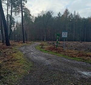 Pętla przy Gwarusiu - Suszec - 2