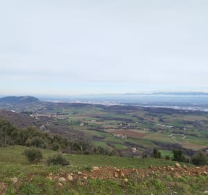 Sur les hauteurs de Toulaud par les Ayes - Rachel - 4