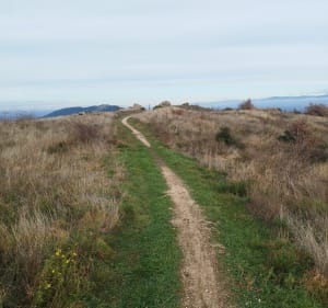 Sur les hauteurs de Toulaud par les Ayes - Toulaud - 2