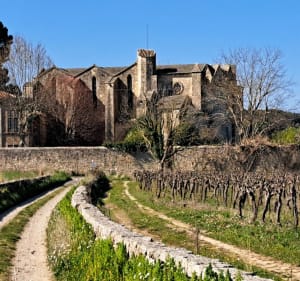 Parcourir les sous-bois de Saussan, Pignan et Murviel - Francis - 3