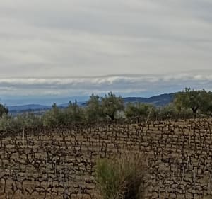 Balade aux alentours de Mirabel-aux-Baronnies, par Tour Belle - Mirabel-aux-Baronnies - 2