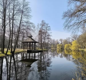 Do zobaczenia w Żmigrodzie - Dariusz - 3