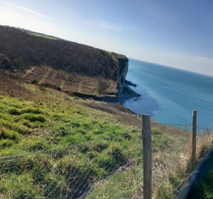 Rando de Vattetot-sur-Mer à Bénouville - Vattetot-sur-Mer - 3