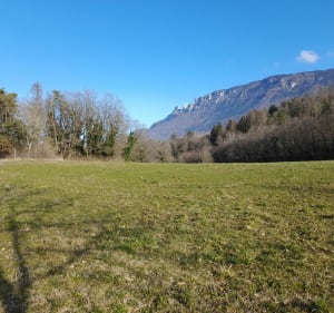 Forêt Saint Paul - Yenne - 2