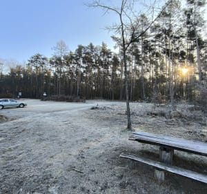 Cztery stawy w dolinie Dłutówki o poranku - Łaziska - 4