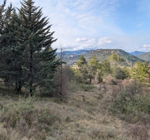Plaines de Mandiargues, au alentour de Saint-Hippolyte-du-Fort - Saint-Hippolyte-du-Fort - 2
