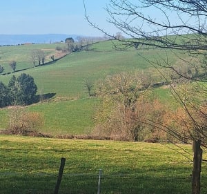 De Marnand à l'étang du Sibert - Thizy-les-Bourgs - 2