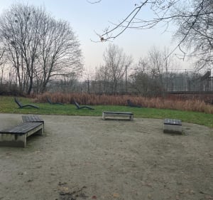Park Tysiąclecia - Toruń - 2