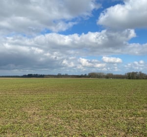 Fultot-Boucourt - Fultot - 2