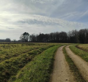 A la découverte de Oyré - Oyré - 3