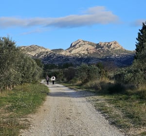 Des Oliviers aux canaux - Aureille - 2