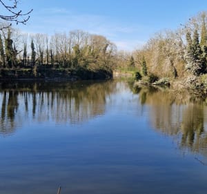 Balade à Bergues au cœur des fortifications - Bergues - 2
