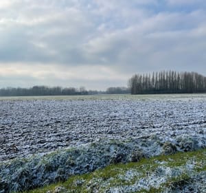 Campagne et chemin de halage à Quesnoy-sur-Deûle - Dom - 3