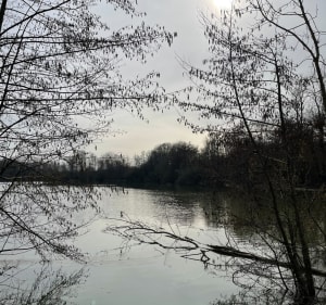 Les étangs et les Tertres - Saint-Georges-sur-Eure - 2