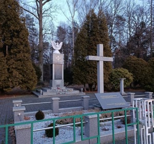 Gostyńsko-Wyrskie Lasy - Alicja - 5