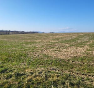 Boucle du fort Ordener - Vézelois - 2