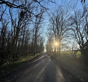 Sur les hauteurs de Méreau - Méreau - 2