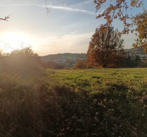 Le Mayet de Montagne - Thomas - 2