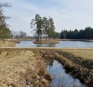 Wysoka Głogowska Leśniczówka - stawy - Wysoka Głogowska - 2