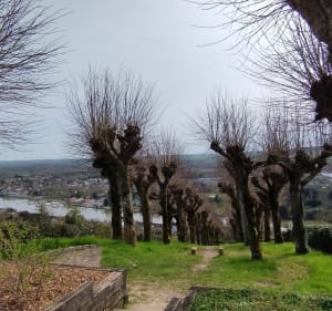 Voie Verte le long de l'Yonne et panorama sur Joigny - Olivier - 3