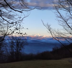 Balade au-dessus de Chanay avec vue sur le Mont Blanc - Chanay - 2